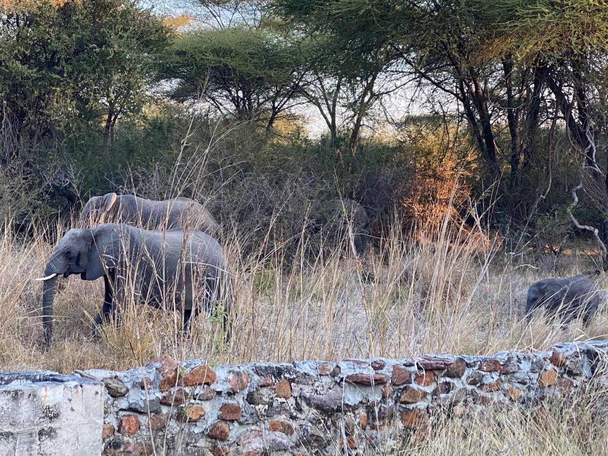 Big 5 Toro Lodge Kasane Buitenkant foto