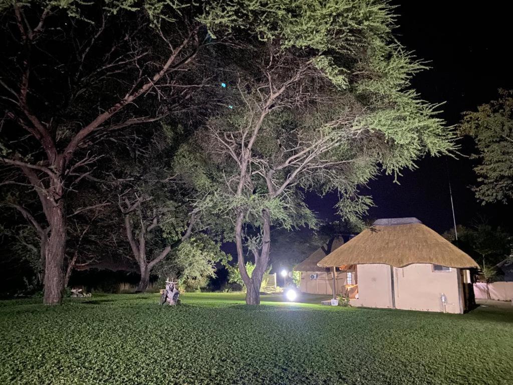 Big 5 Toro Lodge Kasane Buitenkant foto
